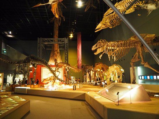Kanagawa Prefectural Museum of Natural History